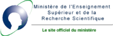 minis-logo