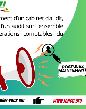 CABINET D'AUDIT (2)