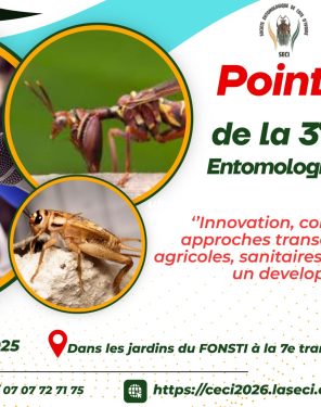 Green and Yellow Modern Agriculture Consultant Services Banner