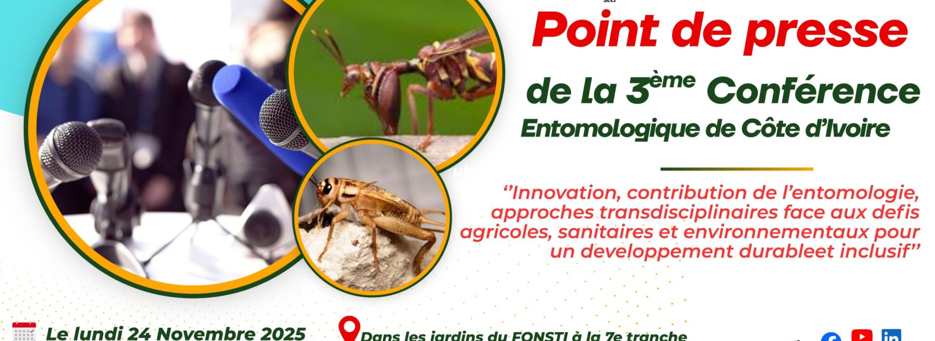 Green and Yellow Modern Agriculture Consultant Services Banner